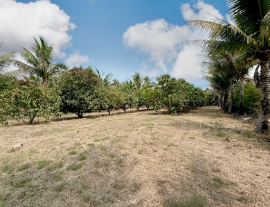 ขาย - ที่ดินพร้อมสิ่งปลูกสร้างโพธาราม ราชบุรี, ราชบุรี