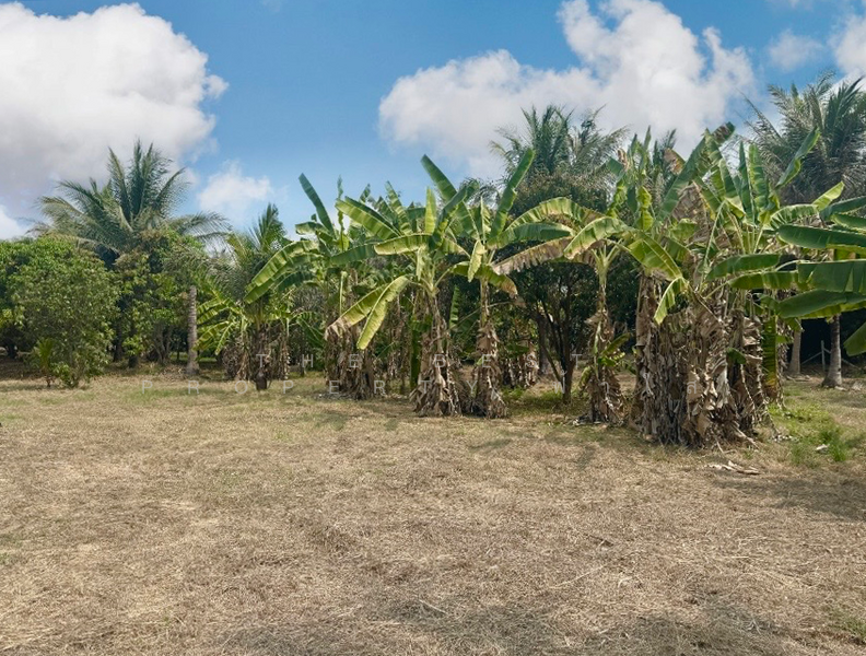 ขาย - ที่ดินพร้อมสิ่งปลูกสร้างโพธาราม ราชบุรี, ราชบุรี