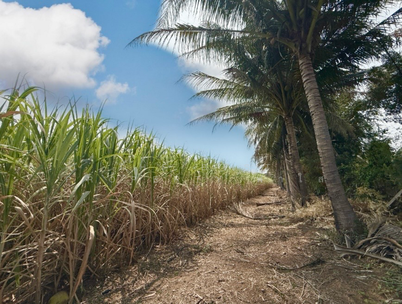 ขาย - ที่ดินพร้อมสิ่งปลูกสร้างโพธาราม ราชบุรี, ราชบุรี