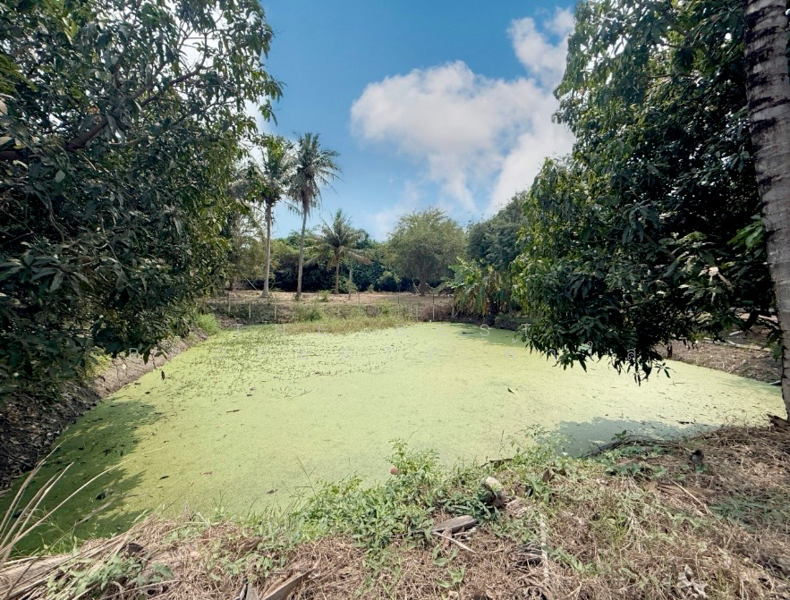 ขาย - ที่ดินพร้อมสิ่งปลูกสร้างโพธาราม ราชบุรี, ราชบุรี