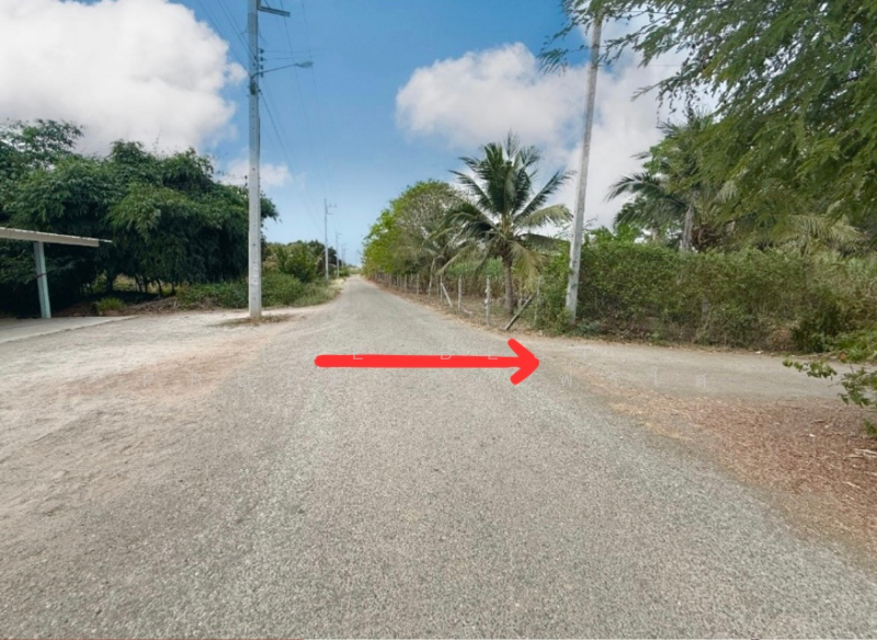 ขาย - ที่ดินพร้อมสิ่งปลูกสร้างโพธาราม ราชบุรี, ราชบุรี