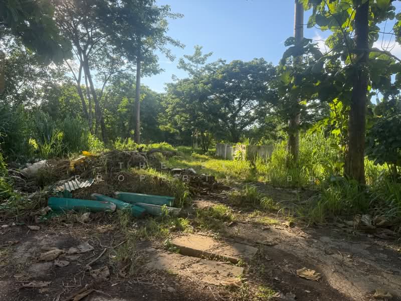 ที่ดินสันทราย เชียงใหม่, เชียงใหม่, หนองแหย่ง, สันทราย, เชียงใหม่, 552 ตร.ม., ที่ดิน ขาย, โดย The Best Property บอย, 500165420 - DDproperty.com