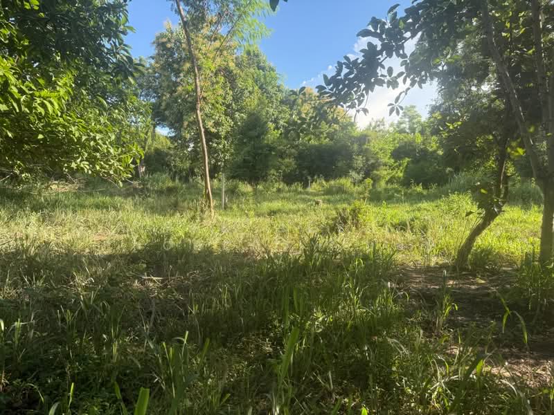 ที่ดินสันทราย เชียงใหม่, Chiang Mai, Nong Yaeng, San Sai, Chiang Mai, , 552 sqm, Land For Sale, by The Best Property บอย, 500165420 - DDproperty.com