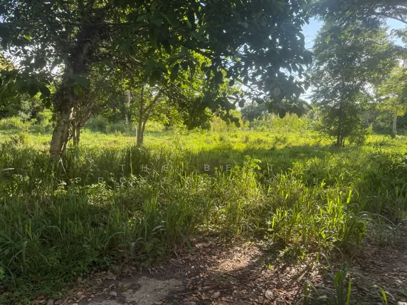 ที่ดินสันทราย เชียงใหม่, เชียงใหม่, หนองแหย่ง, สันทราย, เชียงใหม่, 552 ตร.ม., ที่ดิน ขาย, โดย The Best Property บอย, 500165420 - DDproperty.com