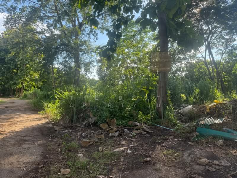 ที่ดินสันทราย เชียงใหม่, Chiang Mai, Nong Yaeng, San Sai, Chiang Mai, , 552 sqm, Land For Sale, by The Best Property บอย, 500165420 - DDproperty.com