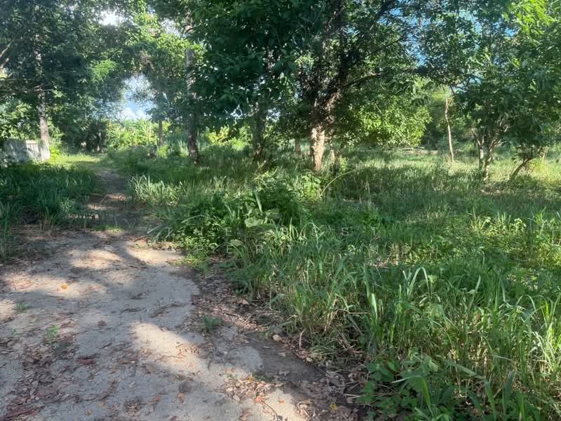 ที่ดินสันทราย เชียงใหม่, Chiang Mai, Nong Yaeng, San Sai, Chiang Mai, , 552 sqm, Land For Sale, by The Best Property บอย, 500165420 - DDproperty.com