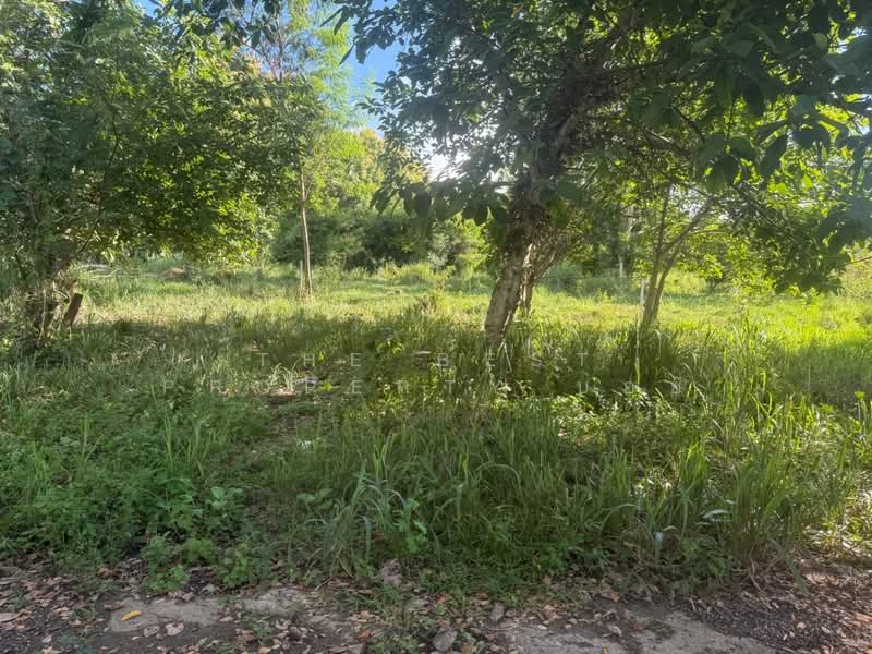 ที่ดินสันทราย เชียงใหม่, เชียงใหม่, หนองแหย่ง, สันทราย, เชียงใหม่, 552 ตร.ม., ที่ดิน ขาย, โดย The Best Property บอย, 500165420 - DDproperty.com