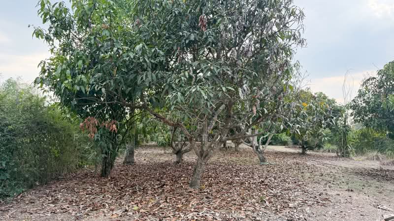 บ้านเดี่ยวพร้อมที่ดินสันกำแพง เชียงใหม่, Chiang Mai, San Ton Pao, San Kamphaeng, Chiang Mai, 2 Bedrooms, 400 sqm, Single Detached House For Sale, by The Best Property บอย, 500165432 - DDproperty.com