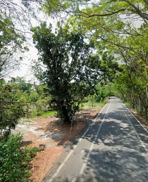 ที่ดินพระประแดง สมุทรปราการ, Samut Prakan, Bang Kobua, Phra Pra Daeng, Samut Prakan, , 932 sqm, Land For Sale, by The Best Property ศิลป์, 500165446 - DDproperty.com