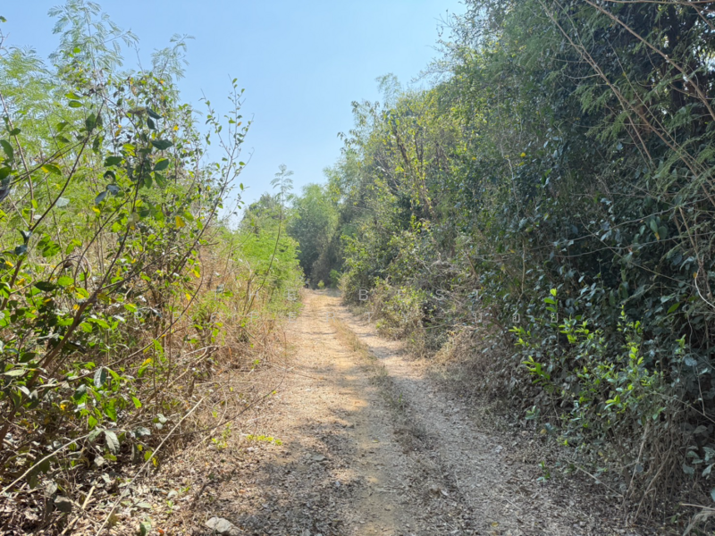 ที่ดินสันกำแพง เชียงใหม่, เชียงใหม่, บวกค้าง, สันกำแพง, เชียงใหม่, 728 ตร.ม., ที่ดิน ขาย, โดย The Best Property บอย, 500165456 - DDproperty.com