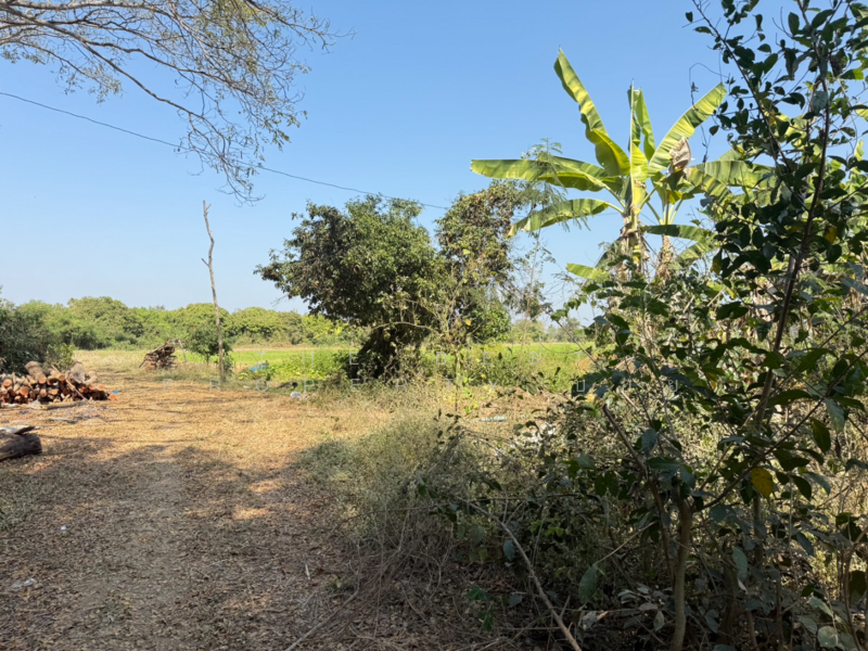 ที่ดินสันกำแพง เชียงใหม่, เชียงใหม่, บวกค้าง, สันกำแพง, เชียงใหม่, 728 ตร.ม., ที่ดิน ขาย, โดย The Best Property บอย, 500165456 - DDproperty.com