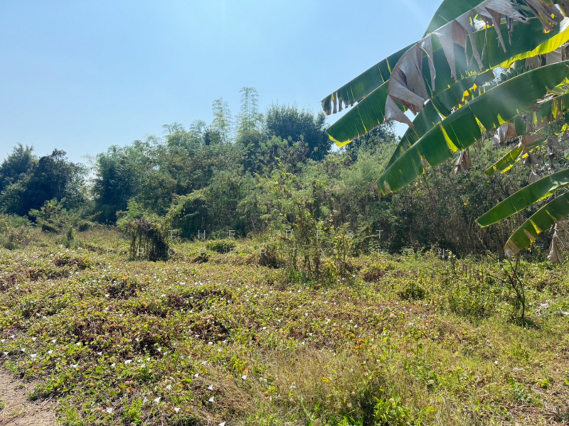 ที่ดินสันกำแพง เชียงใหม่, Chiang Mai, Buak Sang, San Kamphaeng, Chiang Mai, , 728 sqm, Land For Sale, by The Best Property บอย, 500165456 - DDproperty.com