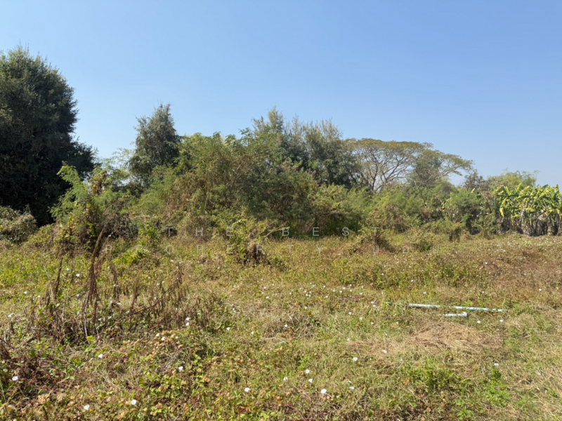 ที่ดินสันกำแพง เชียงใหม่, Chiang Mai, Buak Sang, San Kamphaeng, Chiang Mai, , 728 sqm, Land For Sale, by The Best Property บอย, 500165456 - DDproperty.com