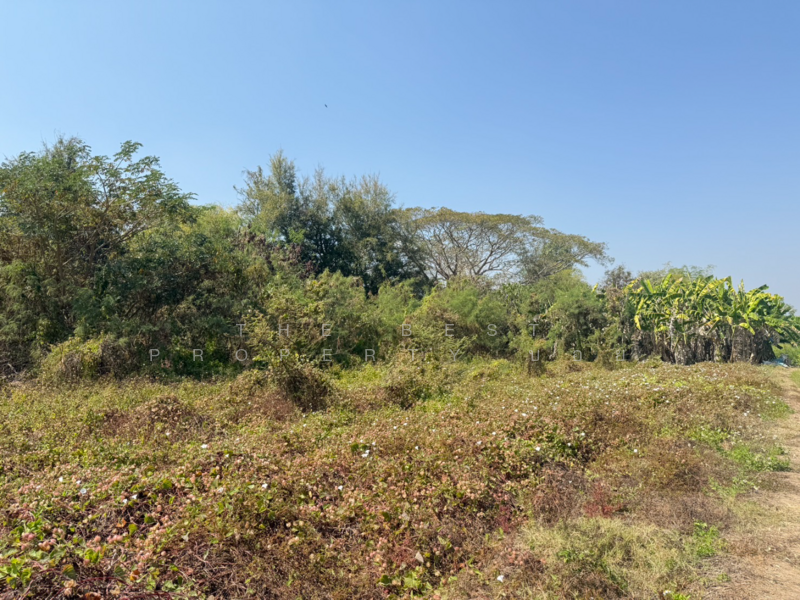 ที่ดินสันกำแพง เชียงใหม่, Chiang Mai, Buak Sang, San Kamphaeng, Chiang Mai, , 728 sqm, Land For Sale, by The Best Property บอย, 500165456 - DDproperty.com
