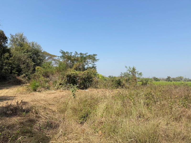 ที่ดินสันกำแพง เชียงใหม่, Chiang Mai, Buak Sang, San Kamphaeng, Chiang Mai, , 728 sqm, Land For Sale, by The Best Property บอย, 500165456 - DDproperty.com