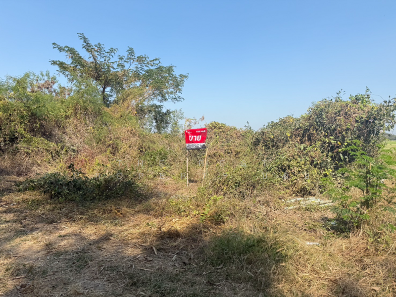 ที่ดินสันกำแพง เชียงใหม่, Chiang Mai, Buak Sang, San Kamphaeng, Chiang Mai, , 728 sqm, Land For Sale, by The Best Property บอย, 500165456 - DDproperty.com