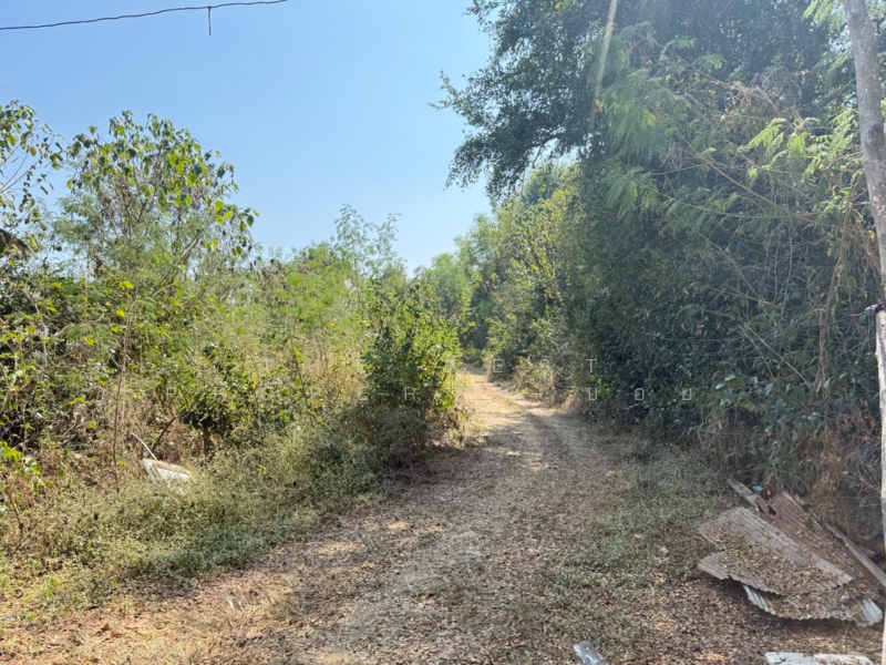 ที่ดินสันกำแพง เชียงใหม่, เชียงใหม่, บวกค้าง, สันกำแพง, เชียงใหม่, 728 ตร.ม., ที่ดิน ขาย, โดย The Best Property บอย, 500165456 - DDproperty.com