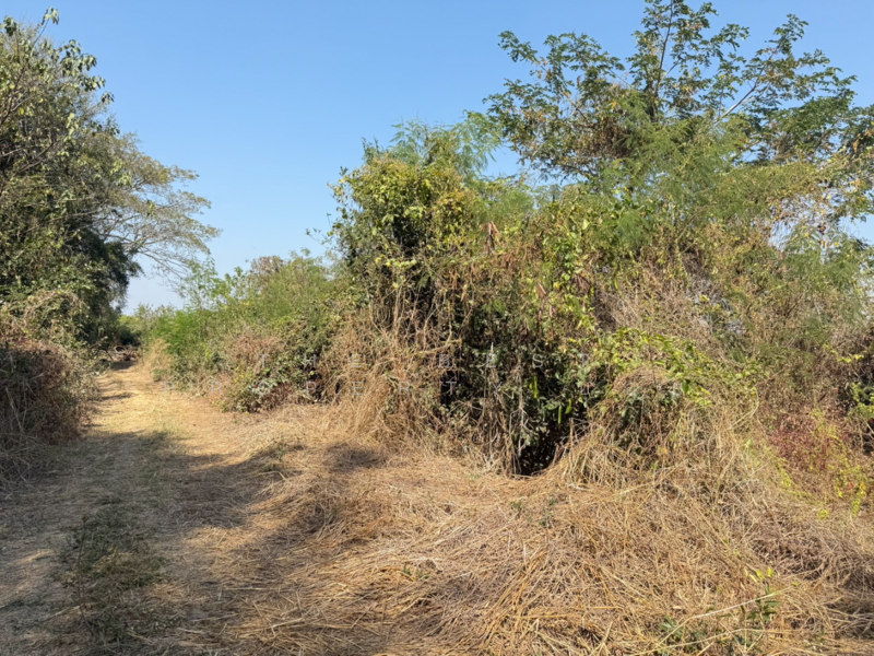 ที่ดินสันกำแพง เชียงใหม่, Chiang Mai, Buak Sang, San Kamphaeng, Chiang Mai, , 728 sqm, Land For Sale, by The Best Property บอย, 500165456 - DDproperty.com