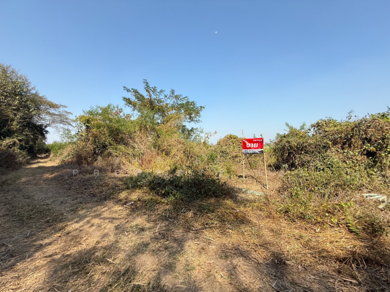 ที่ดินสันกำแพง เชียงใหม่, Chiang Mai, Buak Sang, San Kamphaeng, Chiang Mai, , 728 sqm, Land For Sale, by The Best Property บอย, 500165456 - DDproperty.com