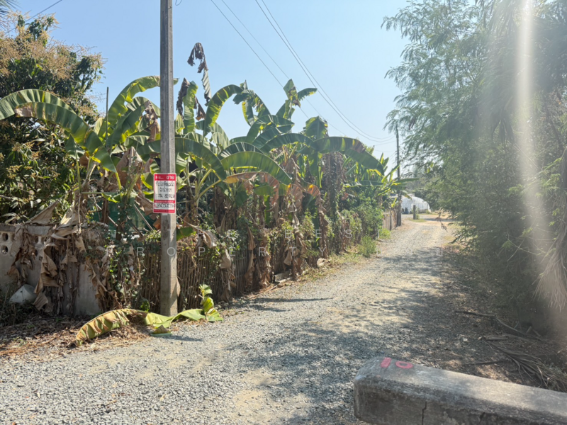 ที่ดินสันกำแพง เชียงใหม่, Chiang Mai, Buak Sang, San Kamphaeng, Chiang Mai, , 728 sqm, Land For Sale, by The Best Property บอย, 500165456 - DDproperty.com