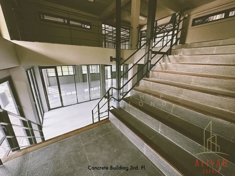 Newly renovated commercial building on Soi Ratchadaphisek 32, Bangkok, Chan Kasem, Chatuchak, Bangkok, , 1,200 sqm, Shophouse For Rent, by Charinthip Phungalong, 500165486 - DDproperty.com