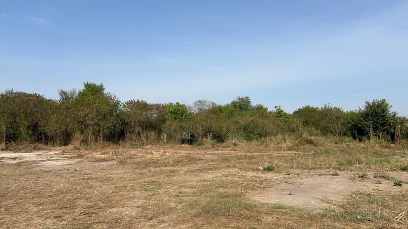 ทำเลทองของนักลงทุน ใจกลางธุระกิจราคาโคตรดี!!!ขายที่ดินเปล่าติดถนน ใจกลางชุมชน อบต มาบไผ่, Chon Buri (Pattaya), Map Phai, Ban Bung, Chon Buri (Pattaya), , 8,800 sqm, Land For Sale, by คุณหมู, 500165522 - DDproperty.com