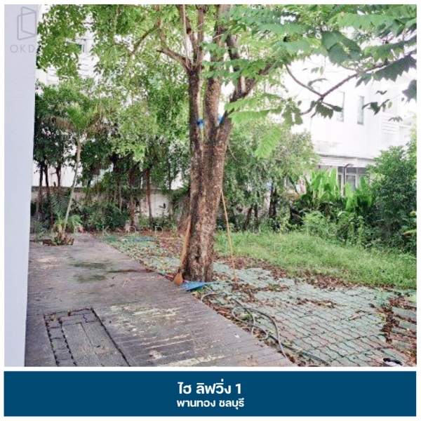 High Living 1 Phanthong, Chon Buri (Pattaya), Map Pong, Phan Thong, Chon Buri (Pattaya), 3 Bedrooms, 144 sqm, Semi-Detached House (Twin House) For Sale, by OKDD STUDIO Co., Ltd., 500165538 - DDproperty.com