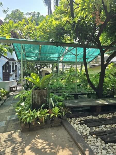 ไม่พบโครงการ, กรุงเทพ, สุขุมวิท42, พระโขนง, คลองเตย, กรุงเทพ, 170 ตร.ม., บ้านเดี่ยว ให้เช่า, โดย กุลจิรา อภัยโส, 500165556 - DDproperty.com