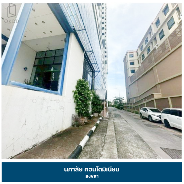 ขาย - Napalai Place Condominium : นภาลัย เพลส คอนโดมิเนียม, สงขลา