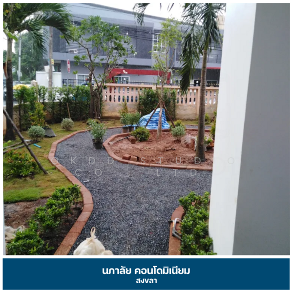 Napalai Place Condominium, Songkhla, Hat-Yai, Hat Yai, Songkhla, 1 Bedroom, 47 sqm, Condo For Sale, by OKDD STUDIO Co., Ltd., 500165584 - DDproperty.com