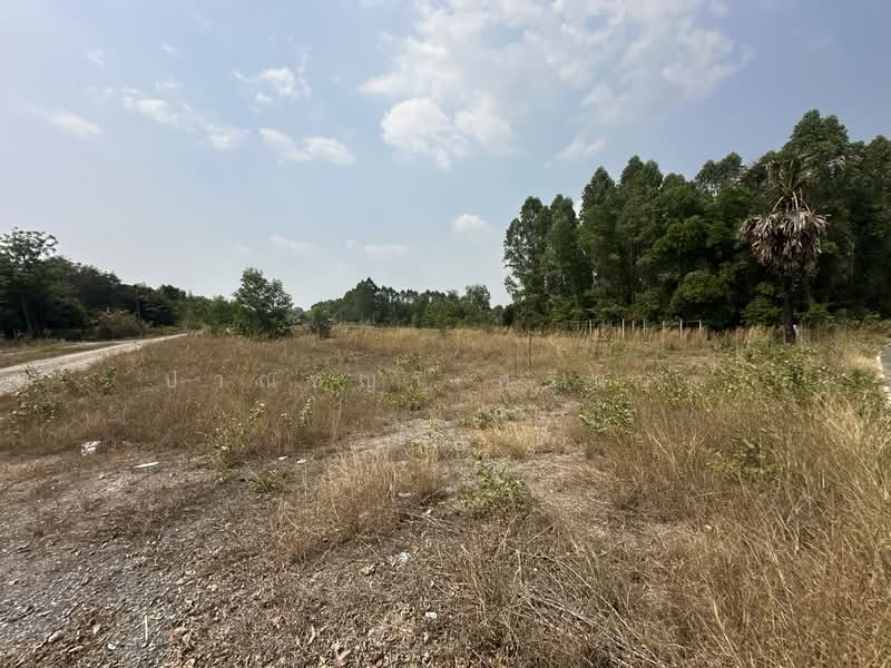 ขายที่ดิน ใกล้โรงเรียนเตรียมทหาร ตำบลศรีกะอาง อำเภอบ้านนา จังหวัดนครนายก เนื้อที่ 5 ไร่ 1งาน, Nakhon Nayok, สุวรรณศร, Sri Sa-ang, Ban Na, Nakhon Nayok, , 8,400 sqm, Land For Sale, by ปาณชญา ศรีนวล, 500165596 - DDproperty.com