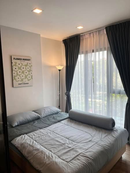 Modiz Sukhumvit 50, Bangkok, Soi Sukhumvit 50, Phra Kanong, Khlong Toei, Bangkok, 1 Bedroom, 26 sqm, Condo For Rent, by Rossukon Silakhot, 500165607 - DDproperty.com
