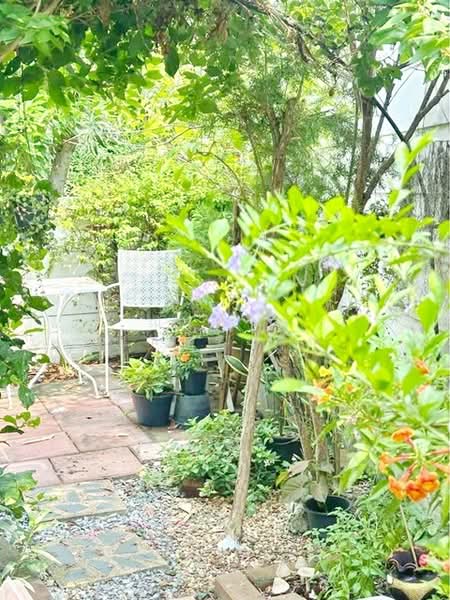 ไม่พบโครงการ, Samut Prakan, เมกาบางนา บางนา ตราด กม.10, Bangphli Yai, Bang Plee, Samut Prakan, 3 Bedrooms, 134 sqm, Single Detached House For Rent, by ณัฐพงศ์ สุนทรอรุณ, 500165682 - DDproperty.com