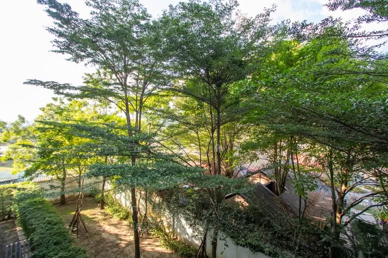 North 5 Condo, Chiang Mai, Su Thep, Muang Chiang Mai, Chiang Mai, 1 Bedroom, 35 sqm, Condo For Sale, by คุณ รุ่งทิพย์, 500165687 - DDproperty.com
