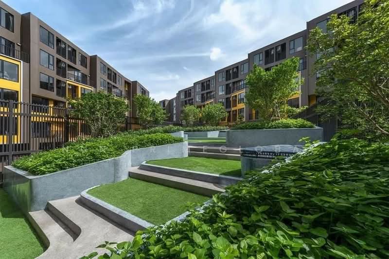 The Base Central, Phuket, Chao Fah Tawan Tok Rd, Wichit, Muang Phuket, Phuket, 1 Bedroom, 35 sqm, Condo For Rent, by nun primeglobal, 500165738 - DDproperty.com