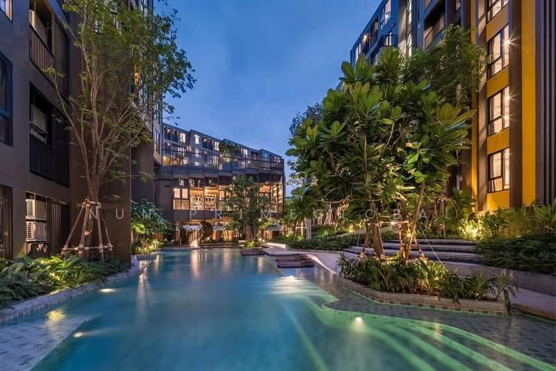 The Base Central, Phuket, Chao Fah Tawan Tok Rd, Wichit, Muang Phuket, Phuket, 1 Bedroom, 35 sqm, Condo For Rent, by nun primeglobal, 500165738 - DDproperty.com