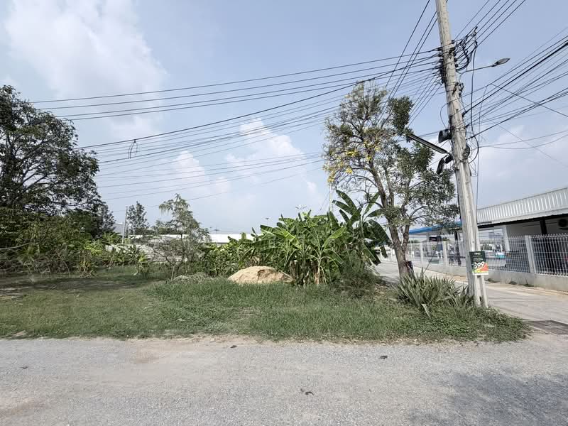 ที่ดินถมแล้ว หลังปั้มปตท. ราชพฤกษ์, Nonthaburi, Bang Rak Noi, Muang Nonthaburi, Nonthaburi, , 736 sqm, Land For Sale, by นันธิกา ศรีสุวรรณ, 500165774 - DDproperty.com