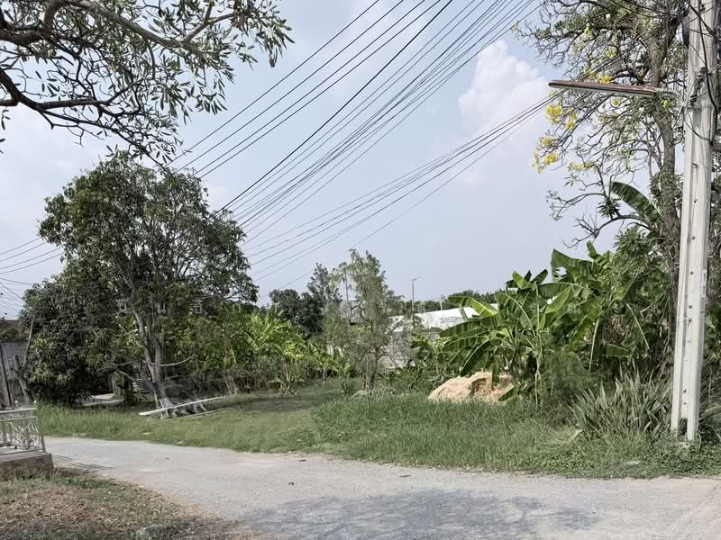 ที่ดินถมแล้ว หลังปั้มปตท. ราชพฤกษ์, นนทบุรี, บางรักน้อย, เมืองนนทบุรี, นนทบุรี, 736 ตร.ม., ที่ดิน ขาย, โดย นันธิกา ศรีสุวรรณ, 500165774 - DDproperty.com