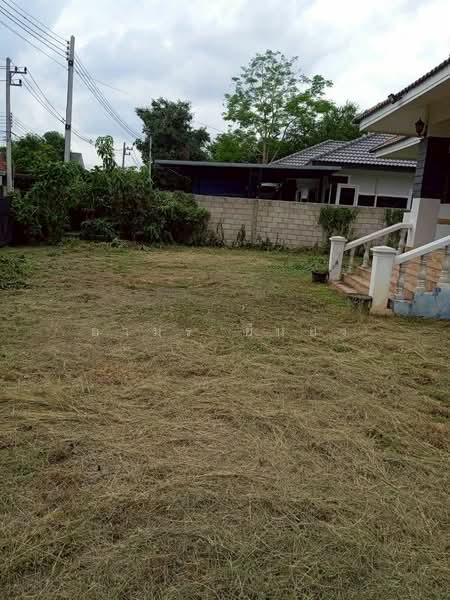 ขาย บ้านเดี่ยว โซนสารภี ท่าวังตาล, Chiang Mai, Tha Wang Tal, Saraphi, Chiang Mai, 2 Bedrooms, 85 sqm, Single Detached House For Sale, by Armon Yuenyong, 500165794 - DDproperty.com