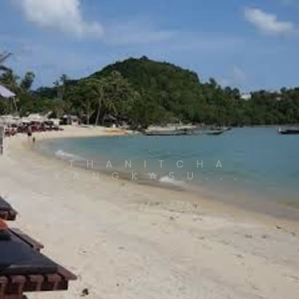 โรงแรมเกาะสมุย สุราษฎร์ธานี, สุราษฎร์ธานี, บ่อผุด, เกาะสมุย, สุราษฎร์ธานี, 1,000 ตร.ม., กิจการ ขาย, โดย Thanitcha Kangkasuwanno, 500165811 - DDproperty.com