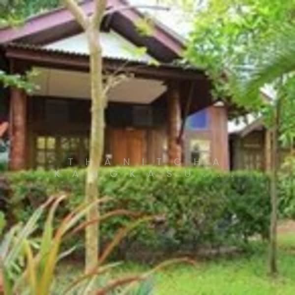 โรงแรมเกาะสมุย สุราษฎร์ธานี, Surat Thani, Bo Put, Ko Samui, Surat Thani, , 1,000 sqm, Business For Sale, by Thanitcha Kangkasuwanno, 500165811 - DDproperty.com