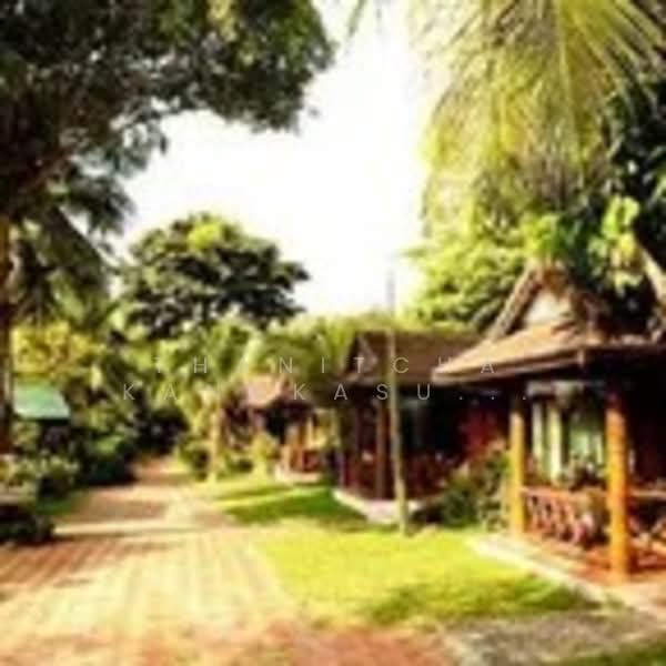 โรงแรมเกาะสมุย สุราษฎร์ธานี, Surat Thani, Bo Put, Ko Samui, Surat Thani, , 1,000 sqm, Business For Sale, by Thanitcha Kangkasuwanno, 500165811 - DDproperty.com