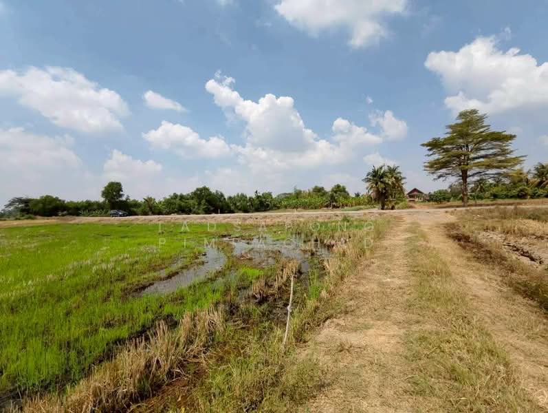 ขาย - ขายที่ดิน 15-1-34 ตารางวา ต.หมอนทอง อ.บางน้ำเปรี้ยว จ.ฉะเชิงเทรา, ฉะเชิงเทรา