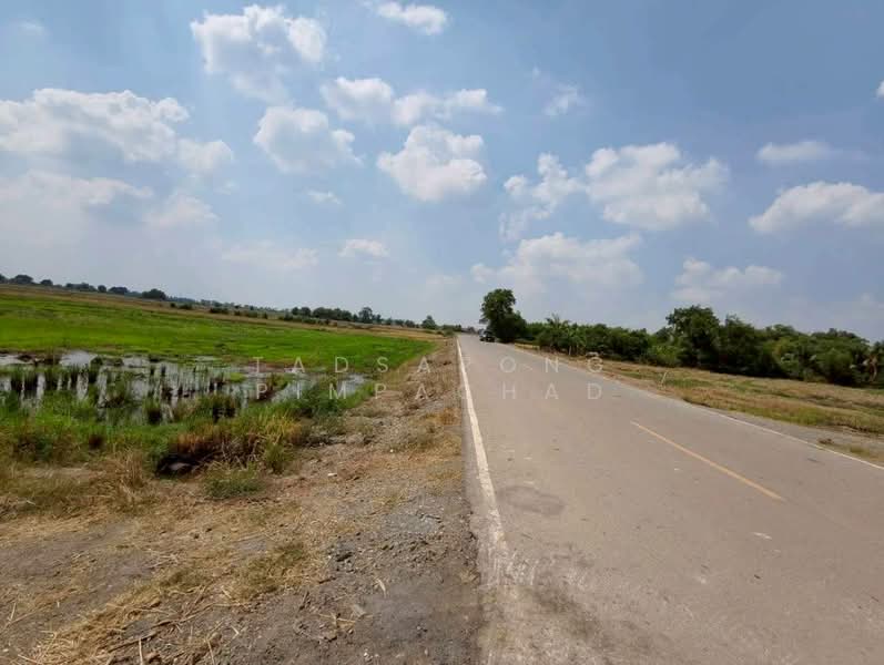 ขายที่ดิน 15-1-34 ตารางวา ต.หมอนทอง อ.บางน้ำเปรี้ยว จ.ฉะเชิงเทรา, Chachoengsao, Monthong, Bang Nam Prieo, Chachoengsao, , 24,536 sqm, Land For Sale, by Tadsapong Pimpachad, 500165839 - DDproperty.com