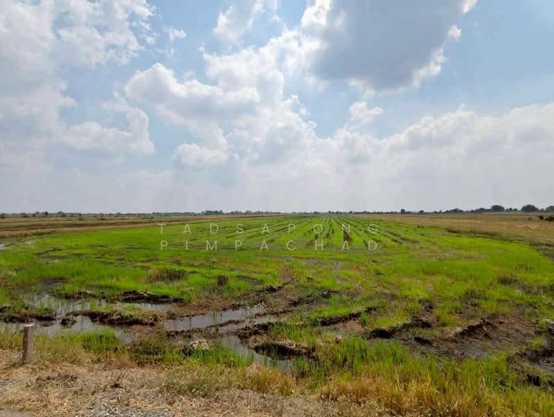 ขาย - ขายที่ดิน 15-1-34 ตารางวา ต.หมอนทอง อ.บางน้ำเปรี้ยว จ.ฉะเชิงเทรา, ฉะเชิงเทรา