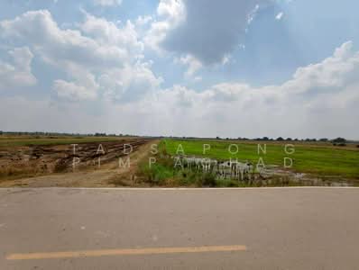 ขาย - ขายที่ดิน 15-1-34 ตารางวา ต.หมอนทอง อ.บางน้ำเปรี้ยว จ.ฉะเชิงเทรา, ฉะเชิงเทรา