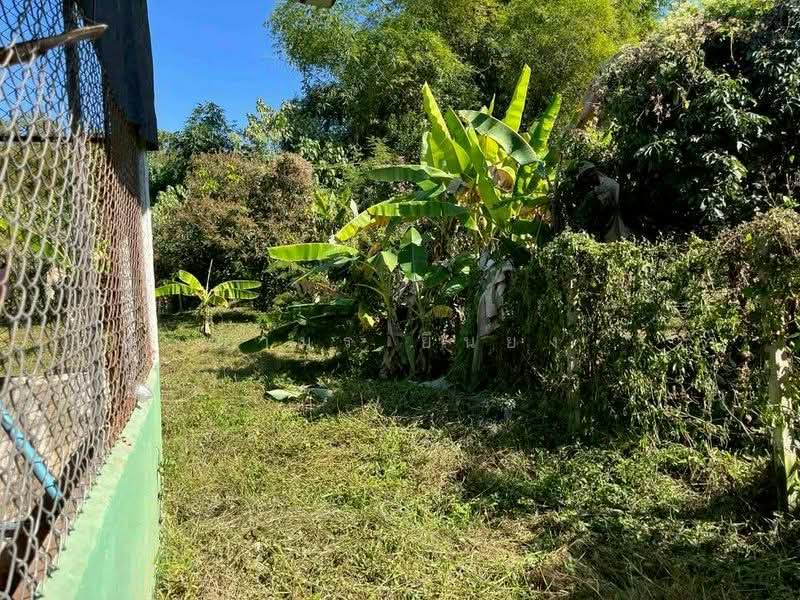 For Sale - ขายบ้านสวน โซนสันป่าตอง เชียงใหม่, Chiang Mai