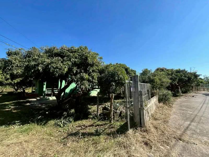 ขาย - ขายบ้านสวน โซนสันป่าตอง เชียงใหม่, เชียงใหม่