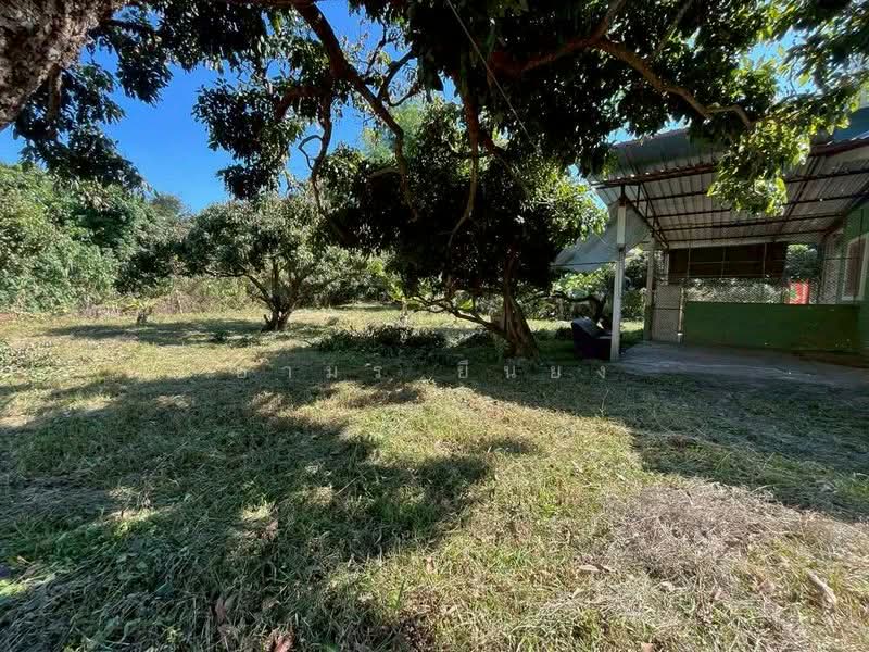 For Sale - ขายบ้านสวน โซนสันป่าตอง เชียงใหม่, Chiang Mai