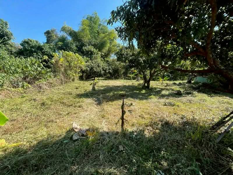 For Sale - ขายบ้านสวน โซนสันป่าตอง เชียงใหม่, Chiang Mai